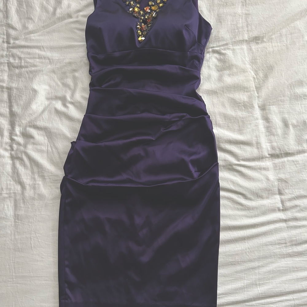 Cache Sleeveless Beaded Dress